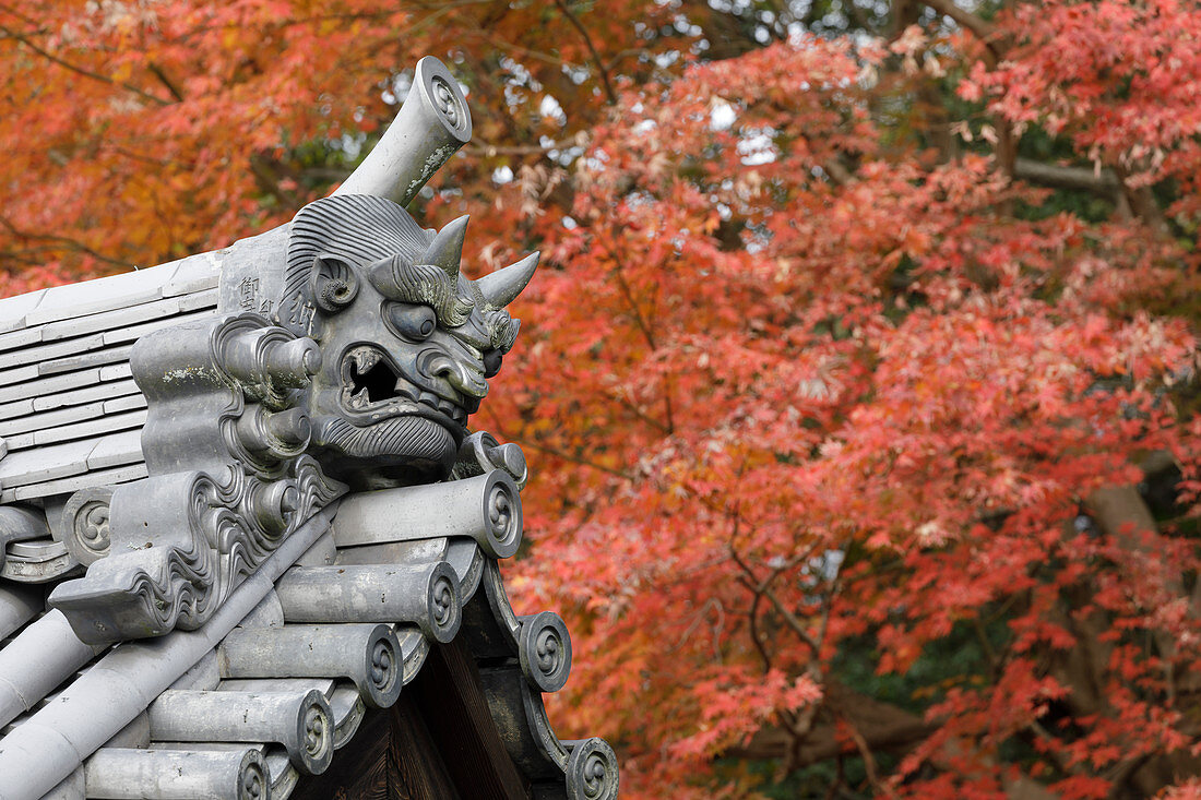 Herbstfarbe um Todaiji Hokkedo in Nara, Japan, Asien