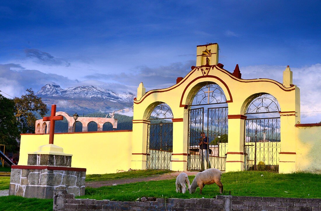 Gekbes entrance gate and 2 sheep at a village church at volcano Iztaccihuatl at Amecameca, eastern Mexico