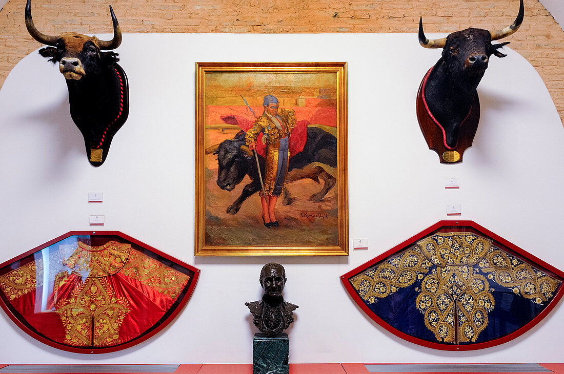 The Bullfighting Museum, in the La Maestranza bullring, Plaza de toros de Seville, Andalusia, Spain, Europe