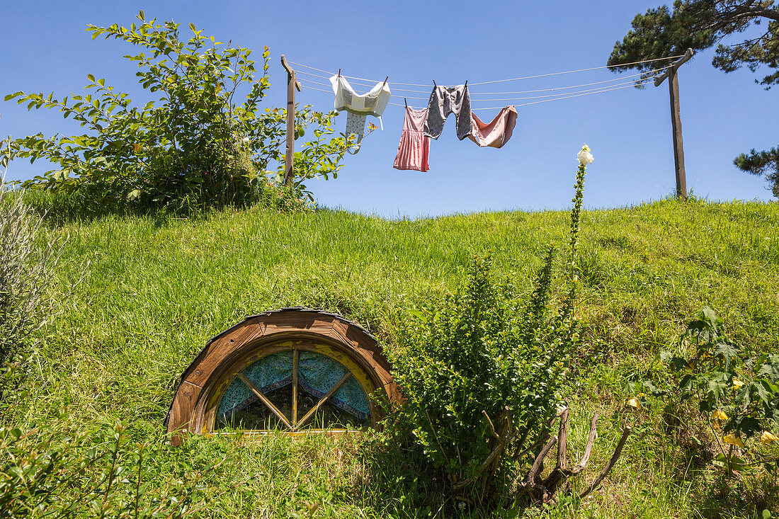 Clothes hanging on the washing line on top of a Hobbot house. Hobbiton Movie Set, Matamata, Waikato region, North Island, New Zealand.