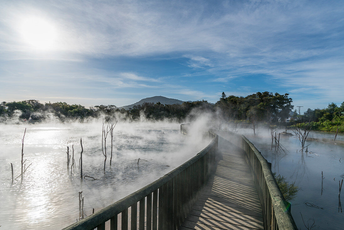 Promenade über einem heißen schwefelhaltigen Pool. Kuirau Park, Rotorua, Bay of Plenty-Region, Nordinsel, Neuseeland