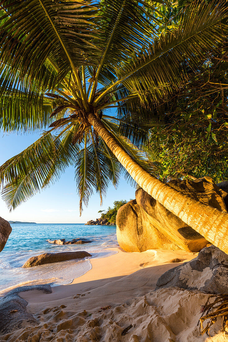 Anse Georgette, Praslin island, Seychelles, Africa