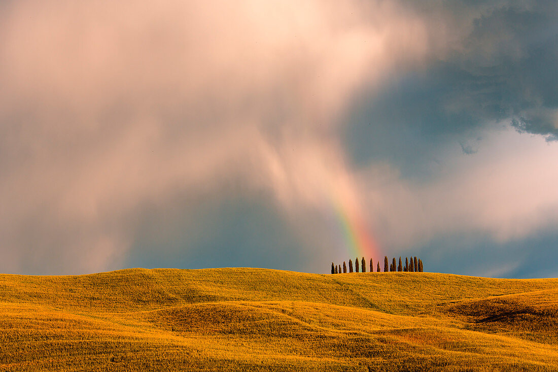 Europe, Italy, Tuscan, Pienza district, Orcia Valley