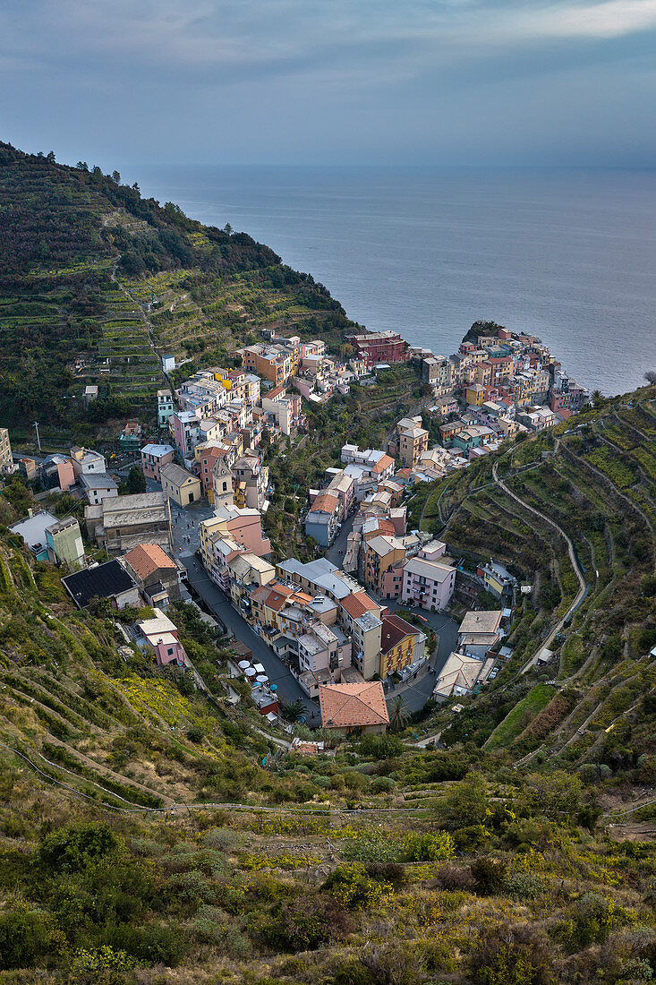 Luftaufnahme von Manarola, Cinque Terre, Gemeinde Riomaggiore, Provinz La Spezia, Ligurien, Italien, Europa