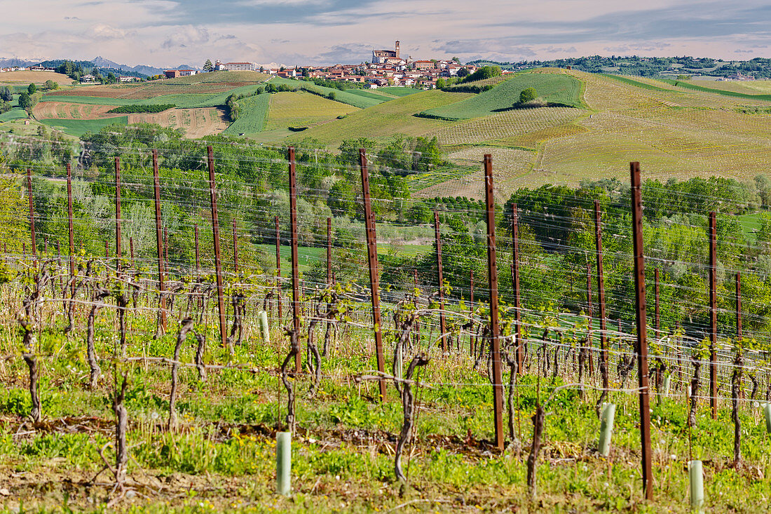 Monferrato, Asti Bezirk, Piemont, Italien. Landschaften der Weinregion Monferrato im Hintergrund des Dorfes Grana