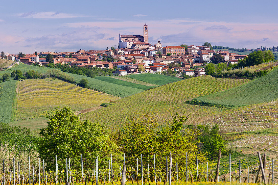Monferrato, Asti district, Piedmont, Italy. Landscapes of the Monferrato wine region,Grana village