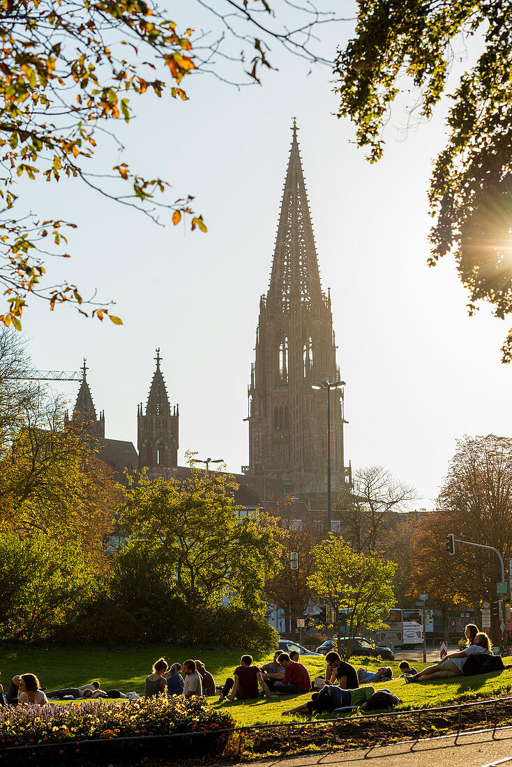 Freiburg Cathedral, sunset, Freiburg im Breisgau, Black Forest, Baden-Wurttemberg, Germany