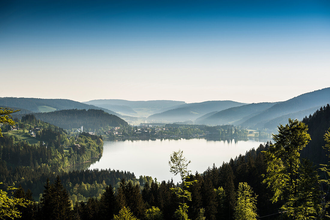 Morning mood with ground fog, Titisee, Black Forest, Baden-Wurttemberg, Germany