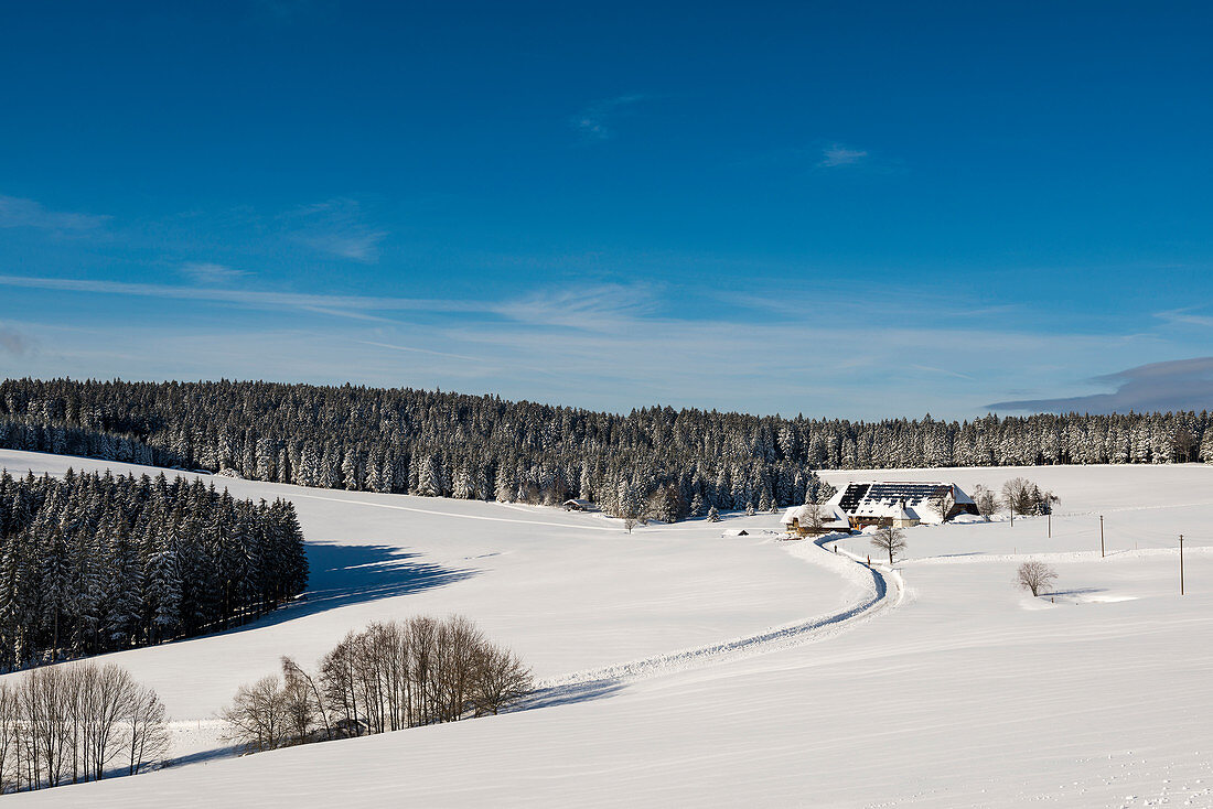 Snowy landscape and farmhouses, Thurner, Hinterzarten, Black Forest, Baden-Wurttemberg, Germany
