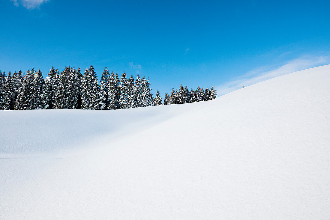Snowy landscape, Thurner, near Hinterzarten, Black Forest, Baden-Wurttemberg, Germany