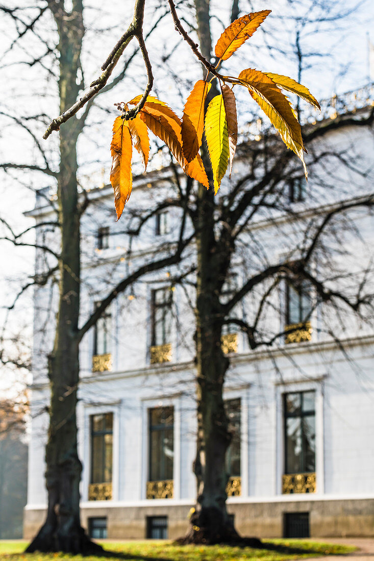 Das Jenischhaus in Nienstedten im gleichnamigen Park im Herbst, Hamburg, Deutschland
