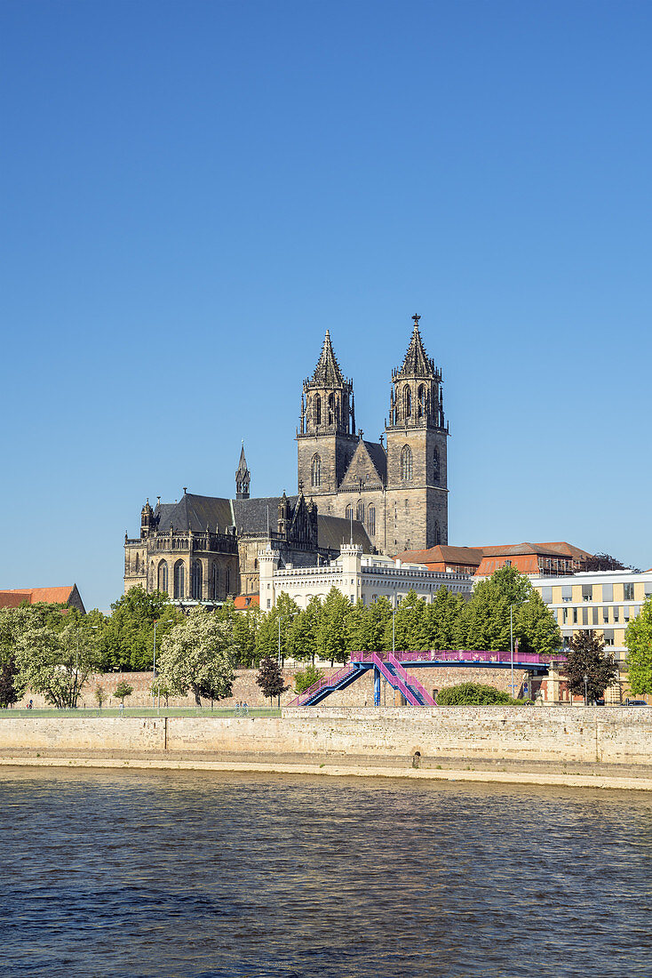 Blick über die Elbe auf den Magdeburger Dom und den Fürstenwall, Magdeburg, Sachsen-Anhalt, Mitteldeutschland, Deutschland, Europa