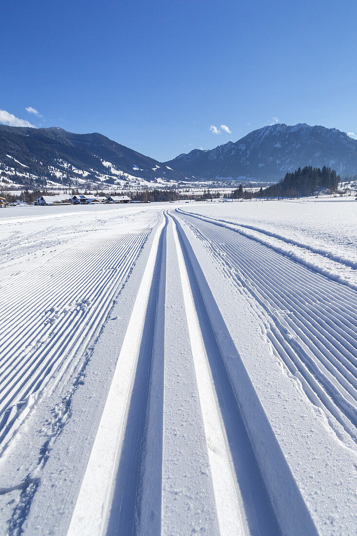 Trail in the Ammer Valley between Unterammergau and Oberammergau with a view of the Laber, Upper Bavaria, Bavaria