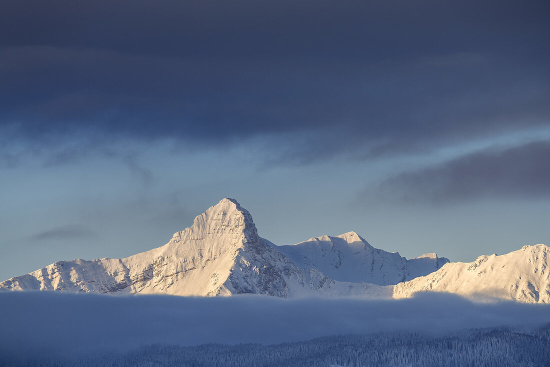 Gipfel des Daniel in den Ammergauer Alpen, Blick von Garmisch-Partenkirchen, Werdenfelser Land, Oberbayern, Bayern, Deutschland