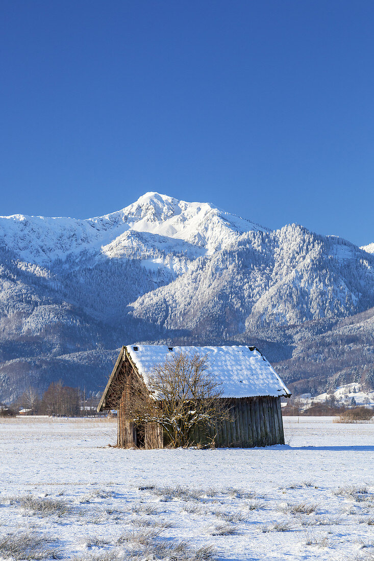 Hütte vor dem Heimgarten, Großweil, Werdenfelser Land, Oberbayern, Bayern, Deutschland