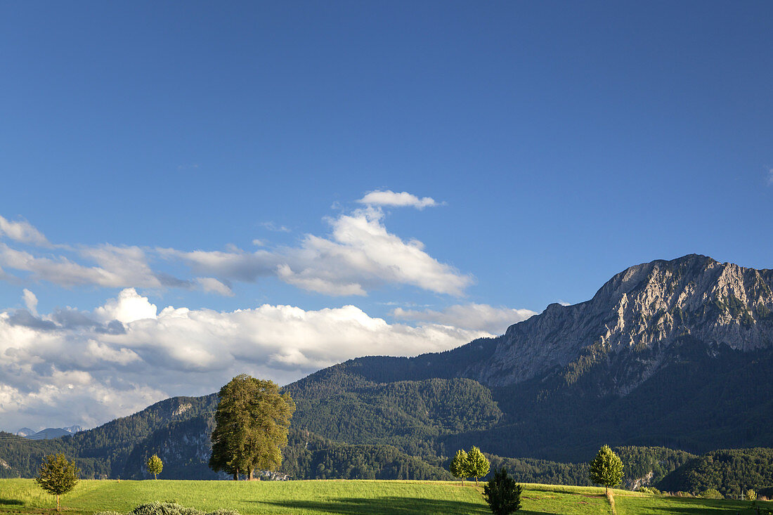 View of the Herzogstand, Großweil, Upper Bavaria, Bavaria, Germany, Europe