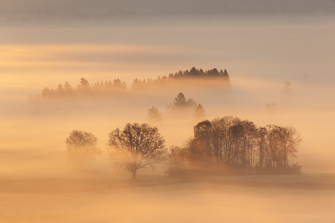 Mist to the sunrise over Kochelseemoos, Grossweil, Upper Bavaria, Bavaria, Germany