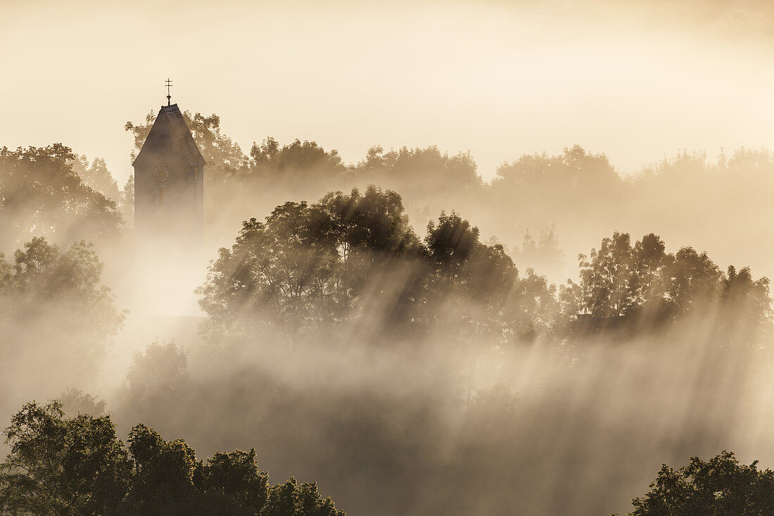 Church tower of Zell in the fog, Großweil, Upper Bavaria, Bavaria, Germany