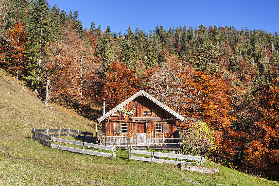 Mitter-Hütte am Gerstenrieder Kopf, Bavarian Prealps, Lenggries, Upper Bavaria, Bavaria, Germany