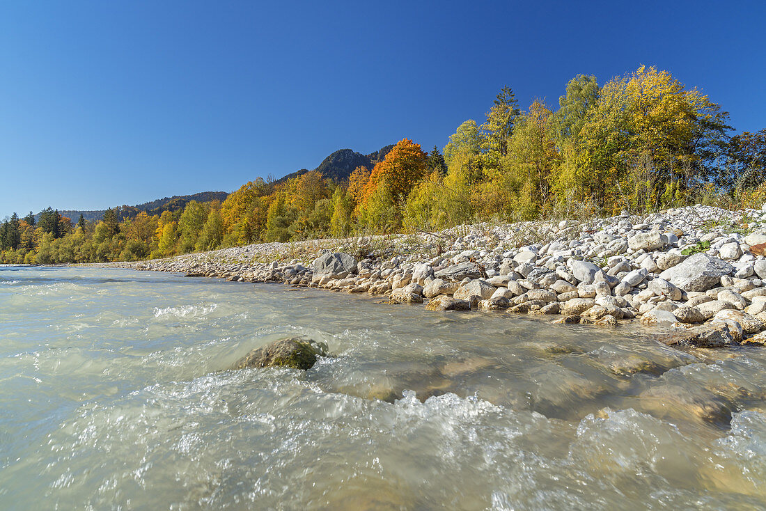 Herbst an der Isar, Lenggries, Tölzer Land, Oberbayern, Bayern, Deutschland