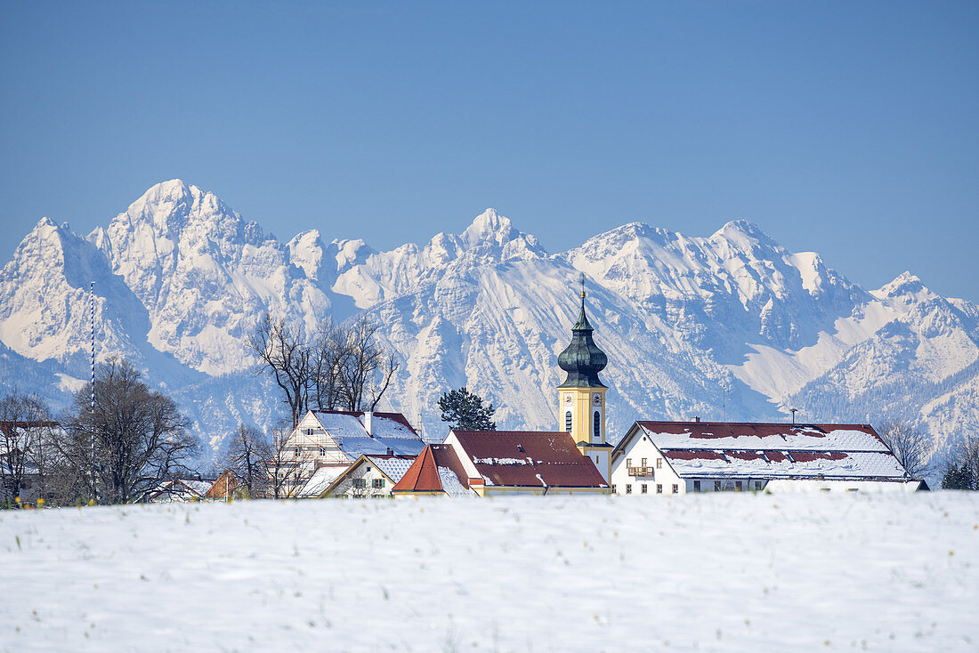 Parish church of St. Jakob in Wildsteig in front of the Tannheimer mountains, Upper Bavaria, Bavaria, Germany
