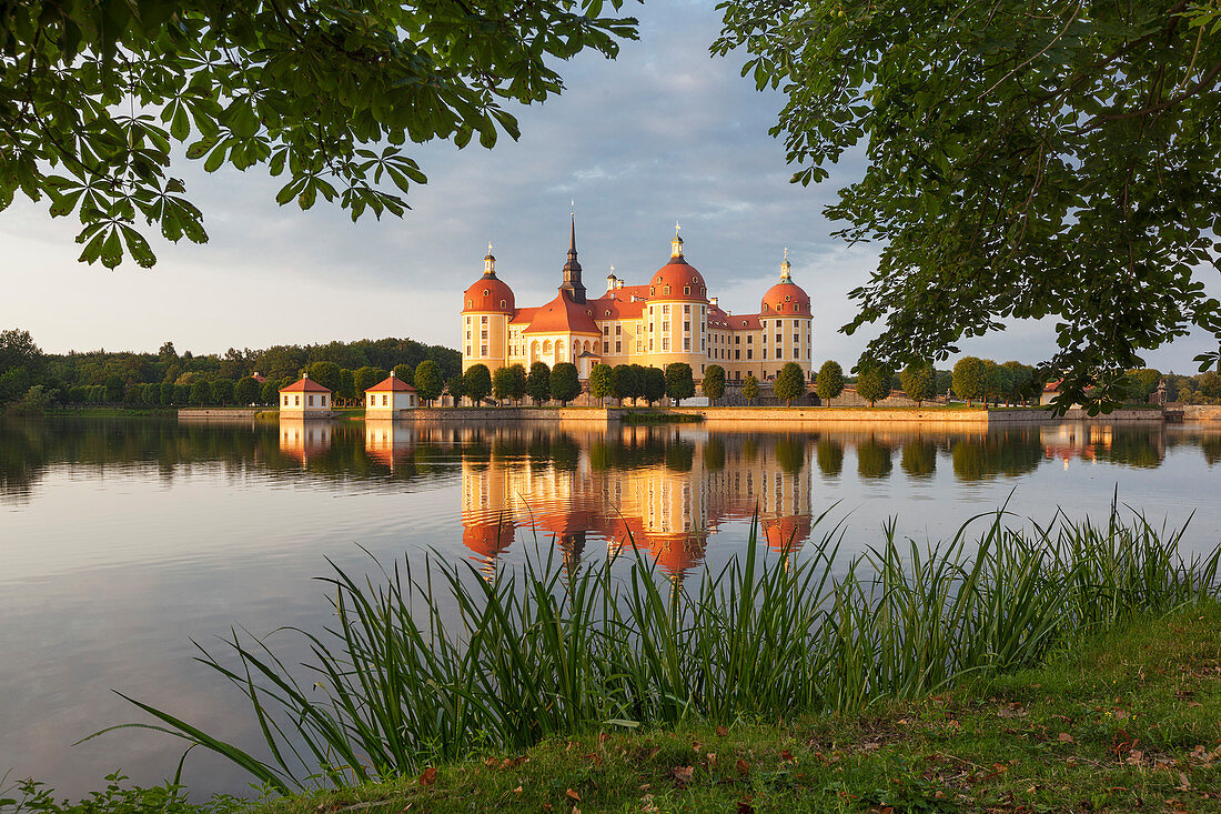 Barockes Schloss Moritzburg in der Abendsonne, Spiegelung im Schlossteich, nahe Dresden, Sachsen, Deutschland
