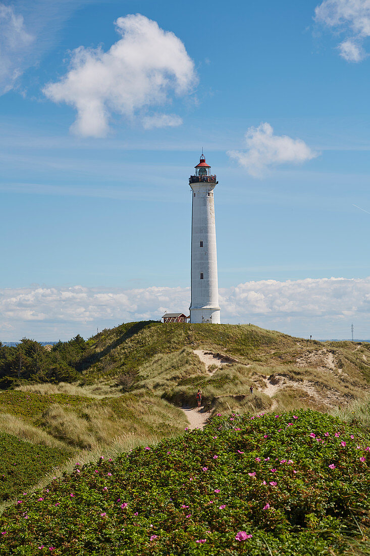 Lyngvig Fyr lighthouse at Nörre Lyngvig, Jutland, North Sea, Denmark, Europe