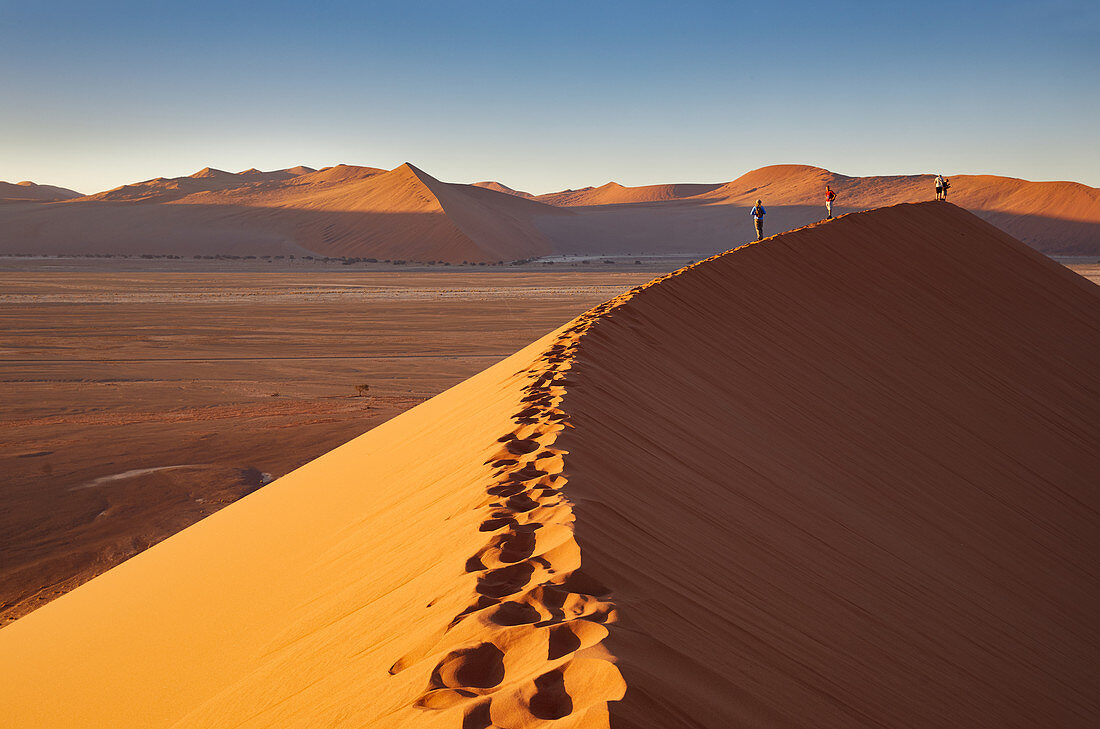 Menschen auf den Dünen in der Wüste Namib, Namib Naukluft Park, Namibia