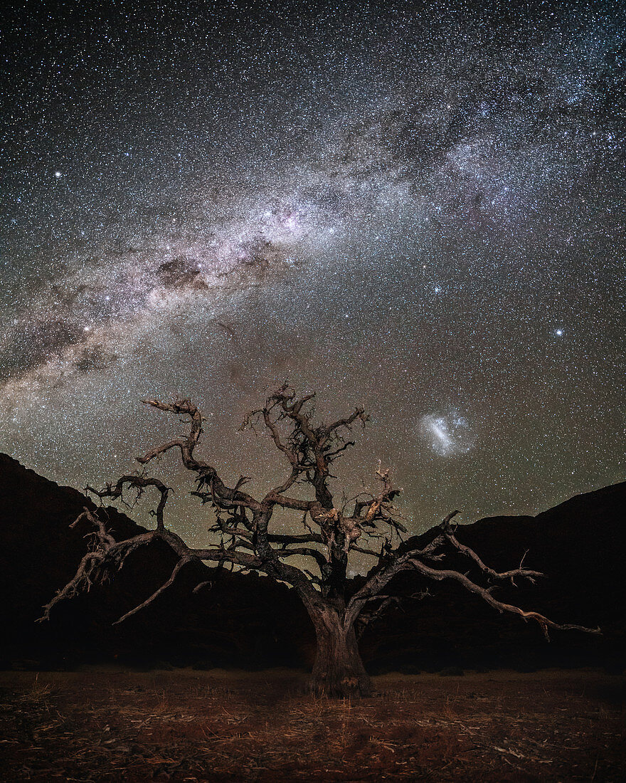 Kameldornakazie und Sternenhimmel im Tirasgebirge, Namibia