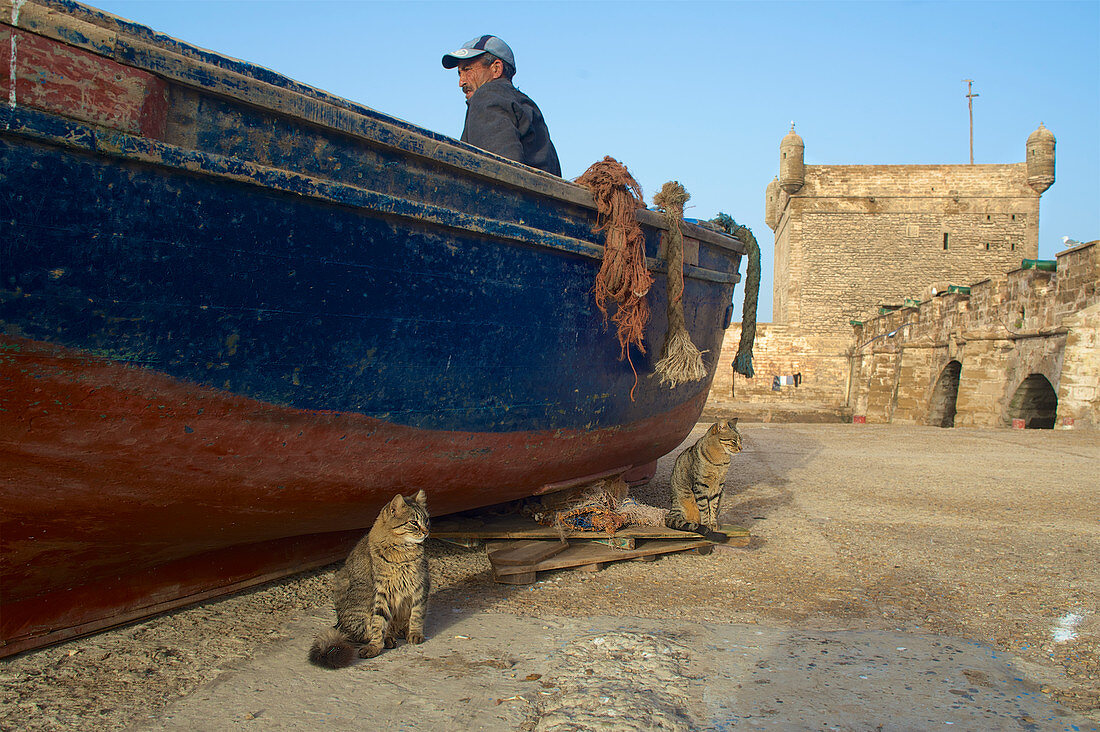 Zwei Katzen vor Fischerboot und Mann vor Festungsturm im Hafen von Essaouira, Atlantikküste, Marokko