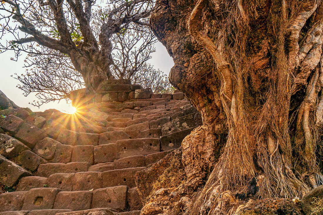 Stairs to Vat Phou Temple, World Heritage Site, Champassak Province, Laos