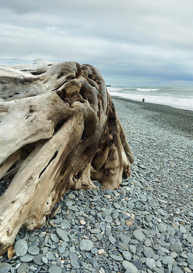 Driftwood at Gillespies Beach, Westland National Park, South Island, New Zealand, Oceania