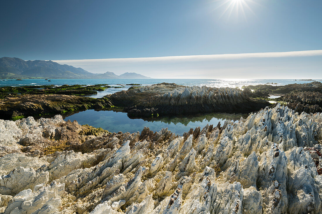 Felsformationen auf der Kaikoura Peninsula, Canterbury, Südinsel, Neuseeland, Ozeanien