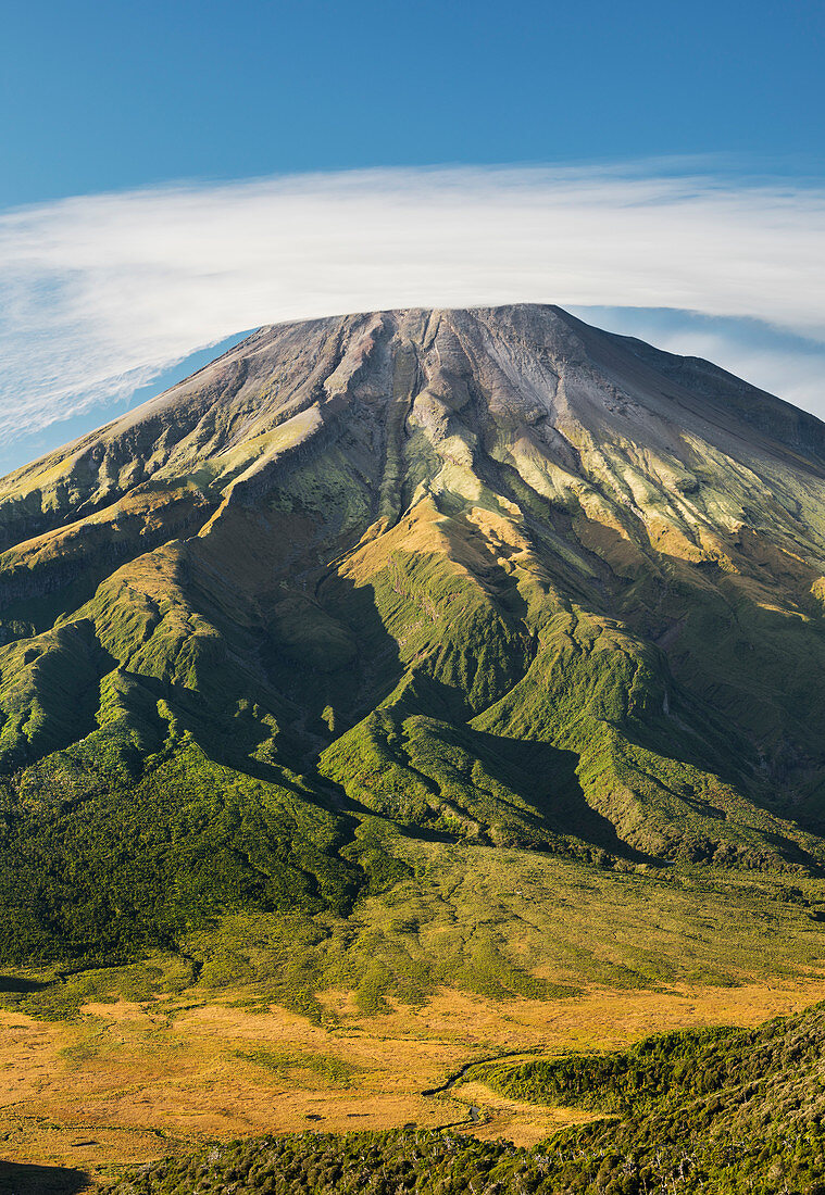 Mount Taranaki, near Pouakai Hut, Egmont National Park, Taranaki, North Island, New Zealand, Oceania