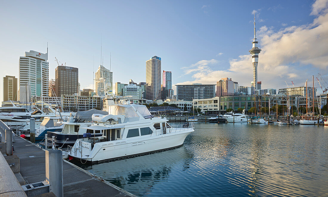 Winyard Crossing, Viaduct Basin, Sky Tower, Auckland, North Island, New Zealand, Oceania