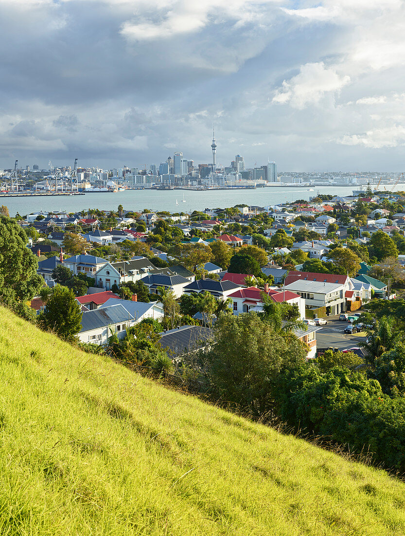 Auckland vom Mount Victoria aus gesehen, Nordinsel, Neuseeland, Ozeanien