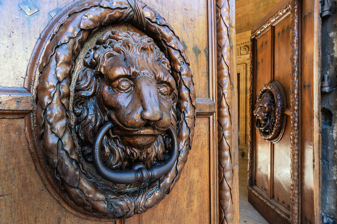 Eingangstor mit Löwen am Rathaus von Aix en Provence, Frankreich