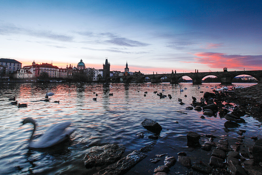 View of the Charles Bridge at sunrise from the bank of the Vltava River, Prague, Czech Republic