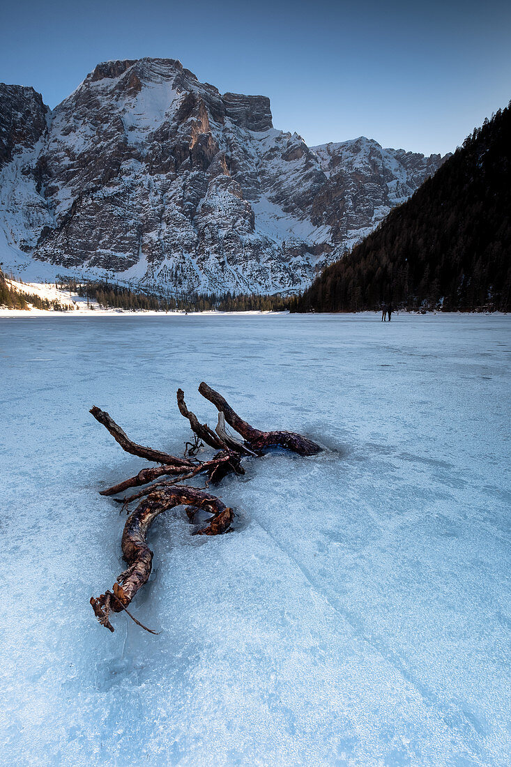 Snow layer with frozen branch on frozen Lake Braies, in the background Dolomites mountain massif in winter, Lago di Braies, Braies, South Tyrol, Italy