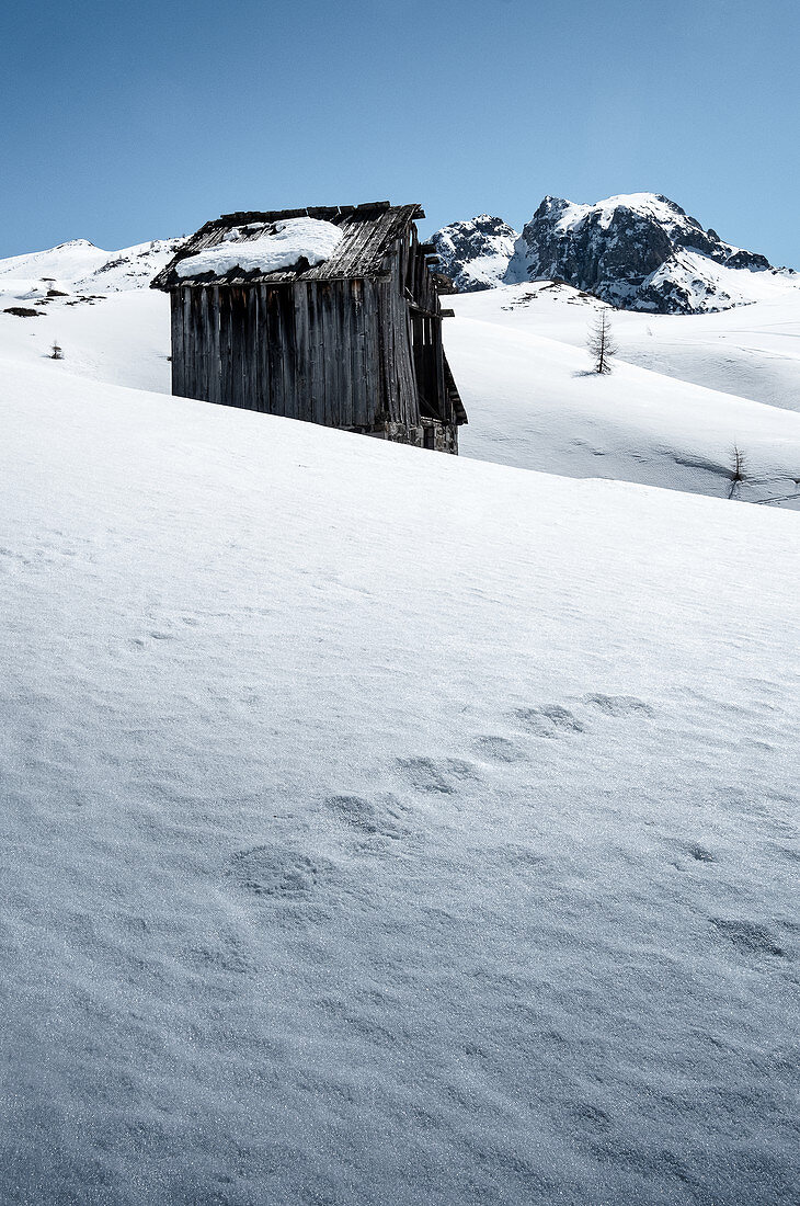 Alte Holzhütte im Schnee mit Blick auf den Passo di Giau, Dolomiten, Cortina d'Ampezzo, Belluno, Italien