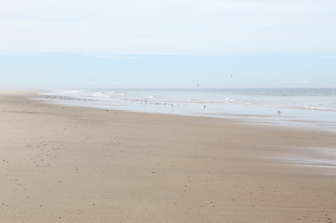 Strand am Meadow Beach, Cape Cod, Massachusetts, USA