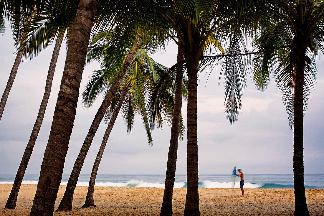 Male surfer with surfboard on tropical beach with palm trees, San Pancho, Nayarit, Mexico