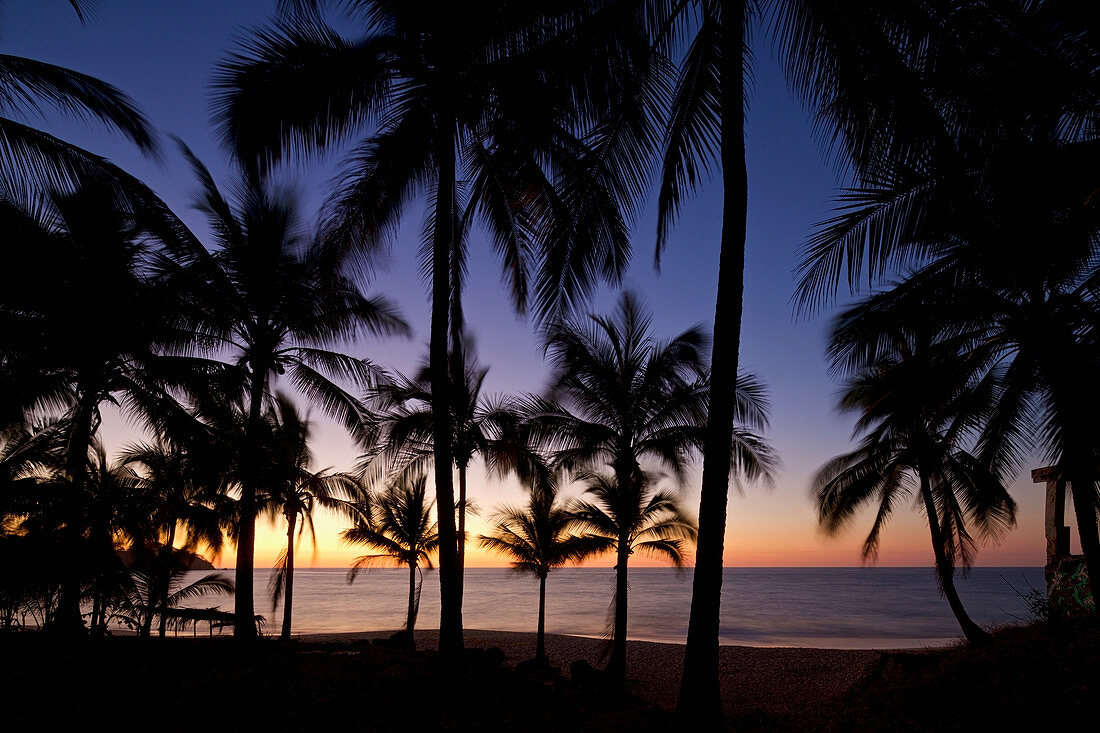 Strand mit Palmen bei Sonnenuntergang, Sayulita, Nayarit, Mexiko