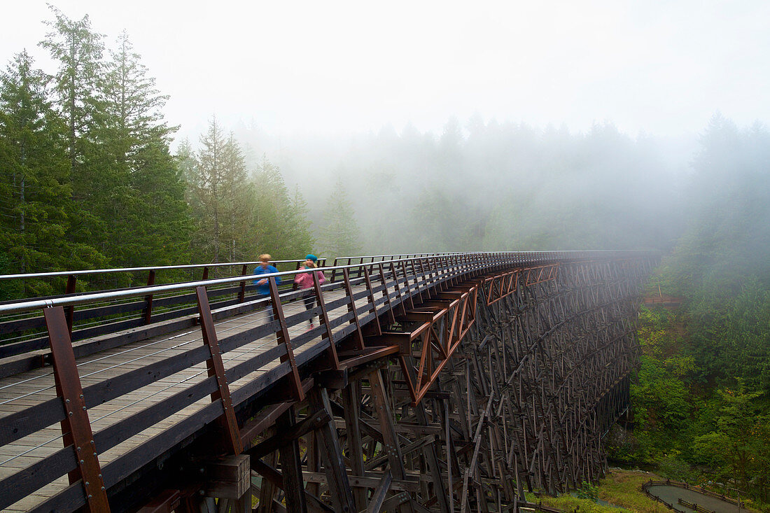 Kids running over railway trestle, British Columbia, Canada