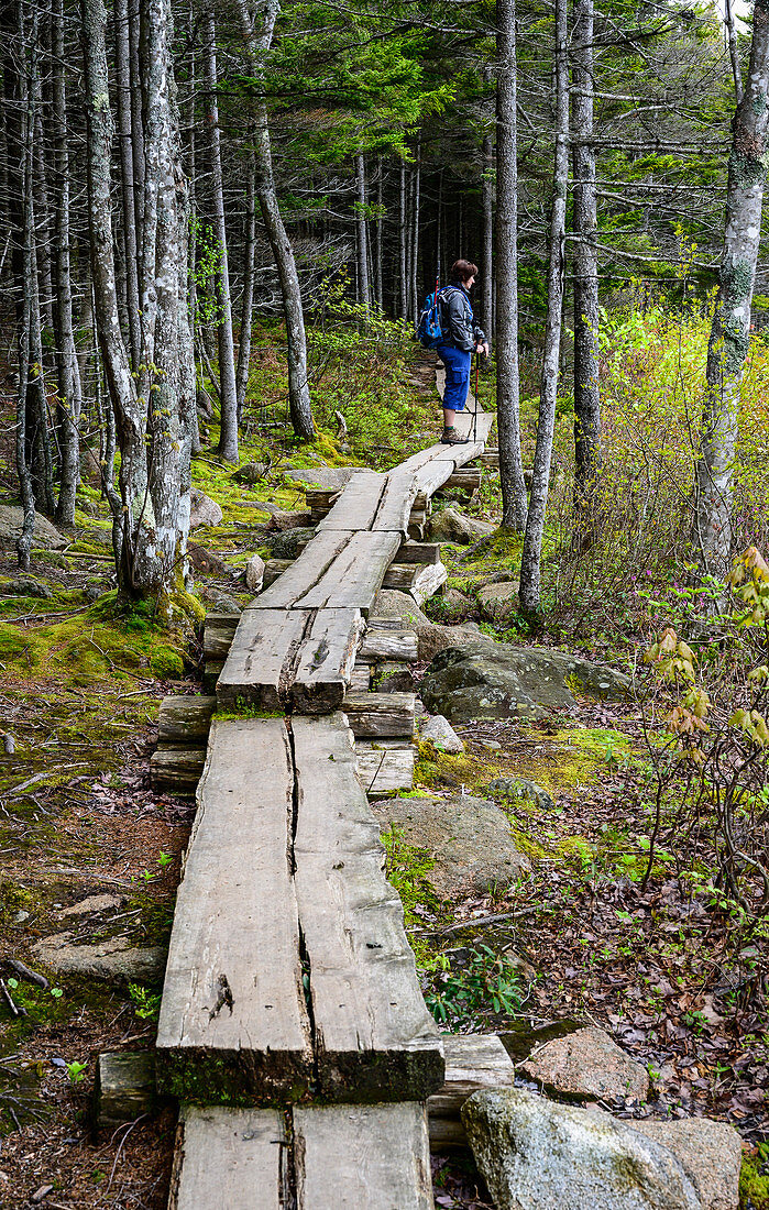 Woman hiking on boardwalk through forest