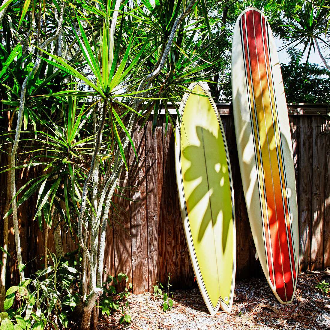 Surfboards, die sich gegen einen Zaun lehnen, Bradenton, Florida, USA