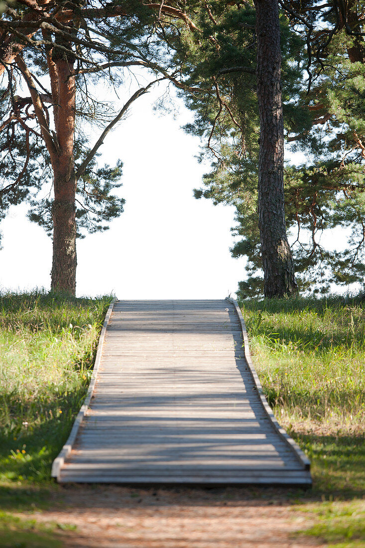 Holzfußweg durch einen Park, Estland