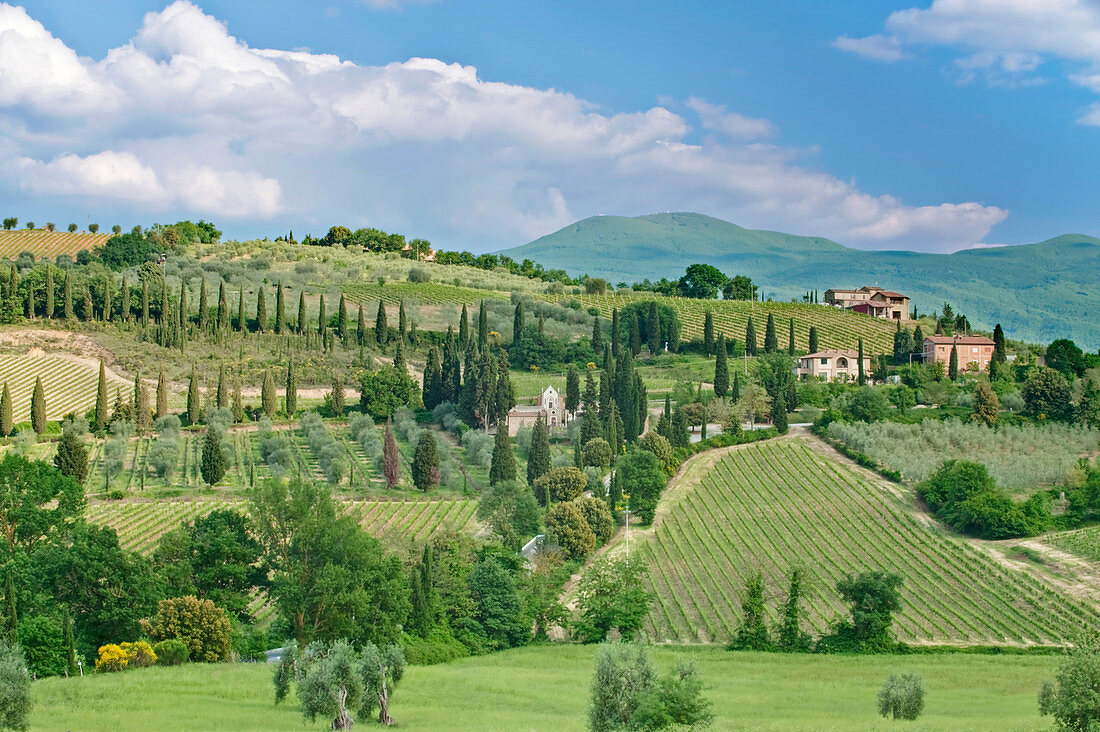 View of rolling green landscape, Tuscany, Italy
