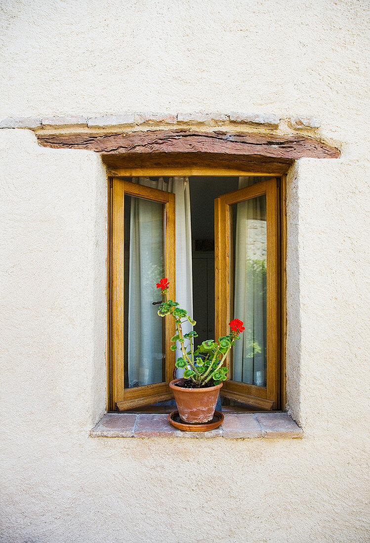Offenes Fenster und Topfpflanze