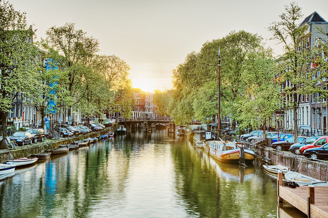 Boote auf einem baumgesäumten Kanal, Amsterdam, Niederlande